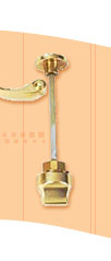 Brass Door Fittings